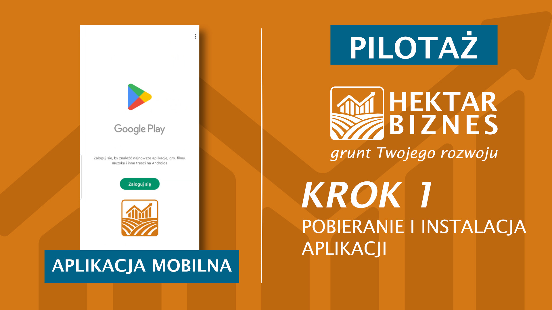 Samouczek - Hektar Biznes - Krok 1